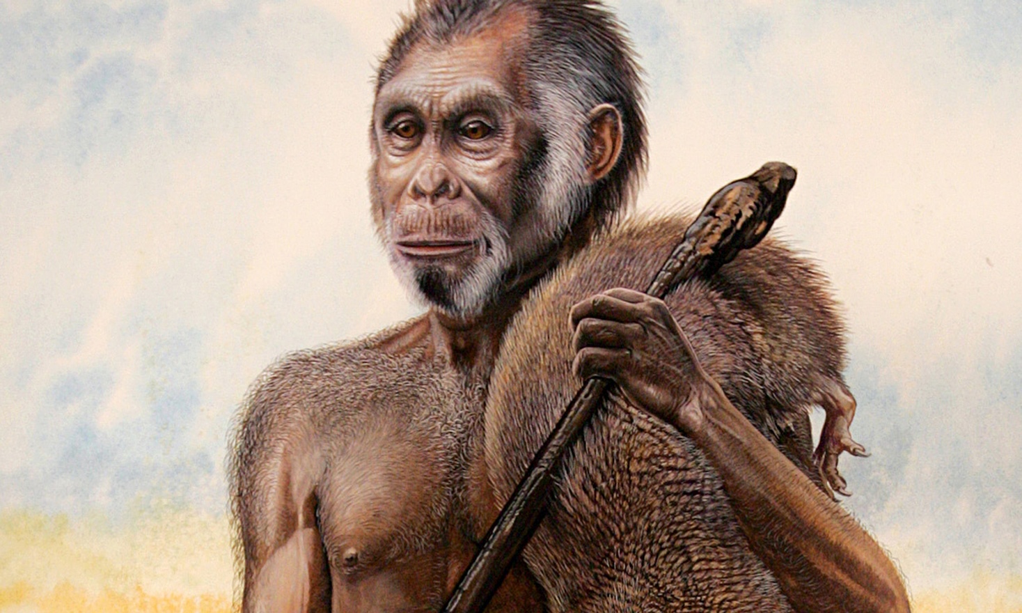 Homo-floresiensis-011