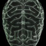 Мозг внутри компьютера: проекты нейроморфного моделирования