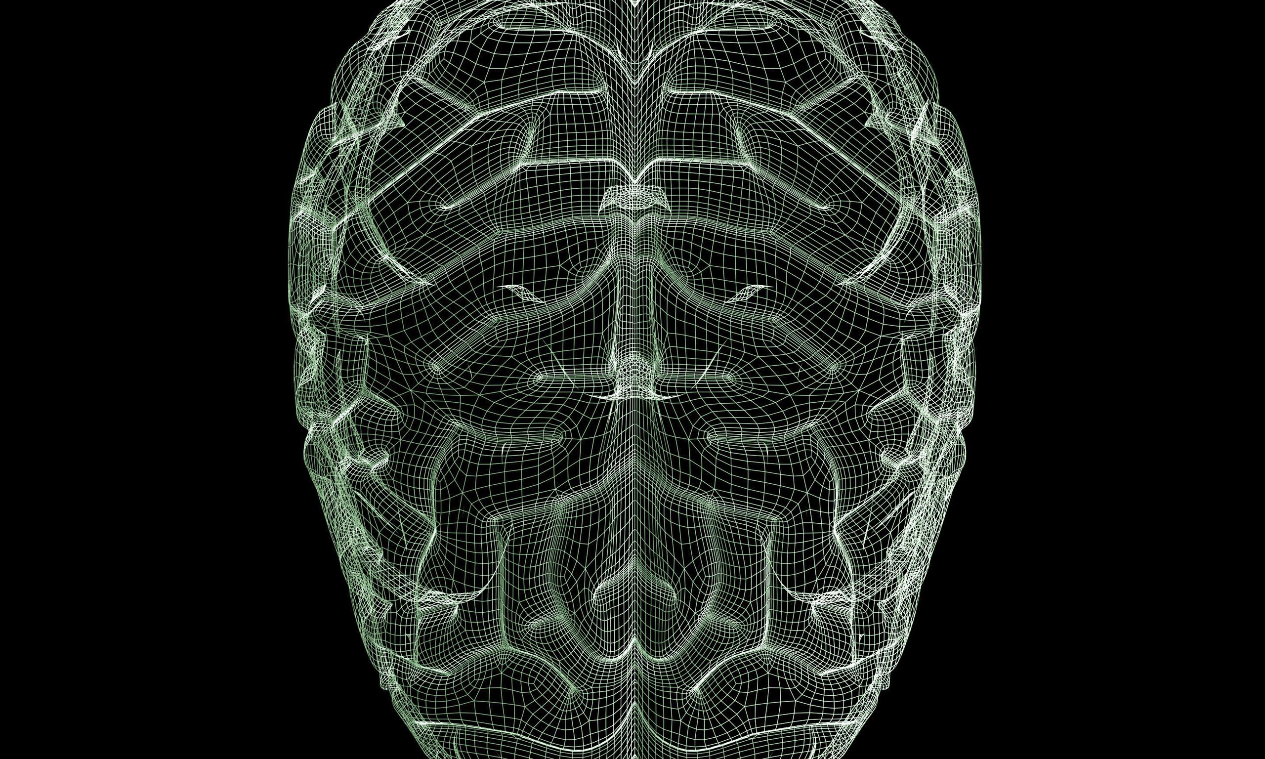 https://naked-science.ru/wp-content/uploads/2016/04/article_Human-brain-wireframe-014.jpg