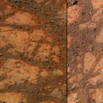 На NASA подали в суд, требуя исследовать странный камень на Марсе