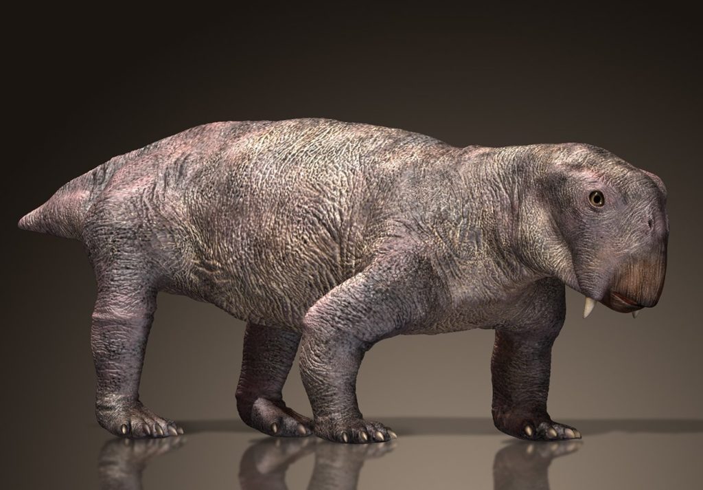 Lystrosaurus_20140505_87151392924