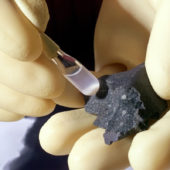 Murchison-meteorite-ANL