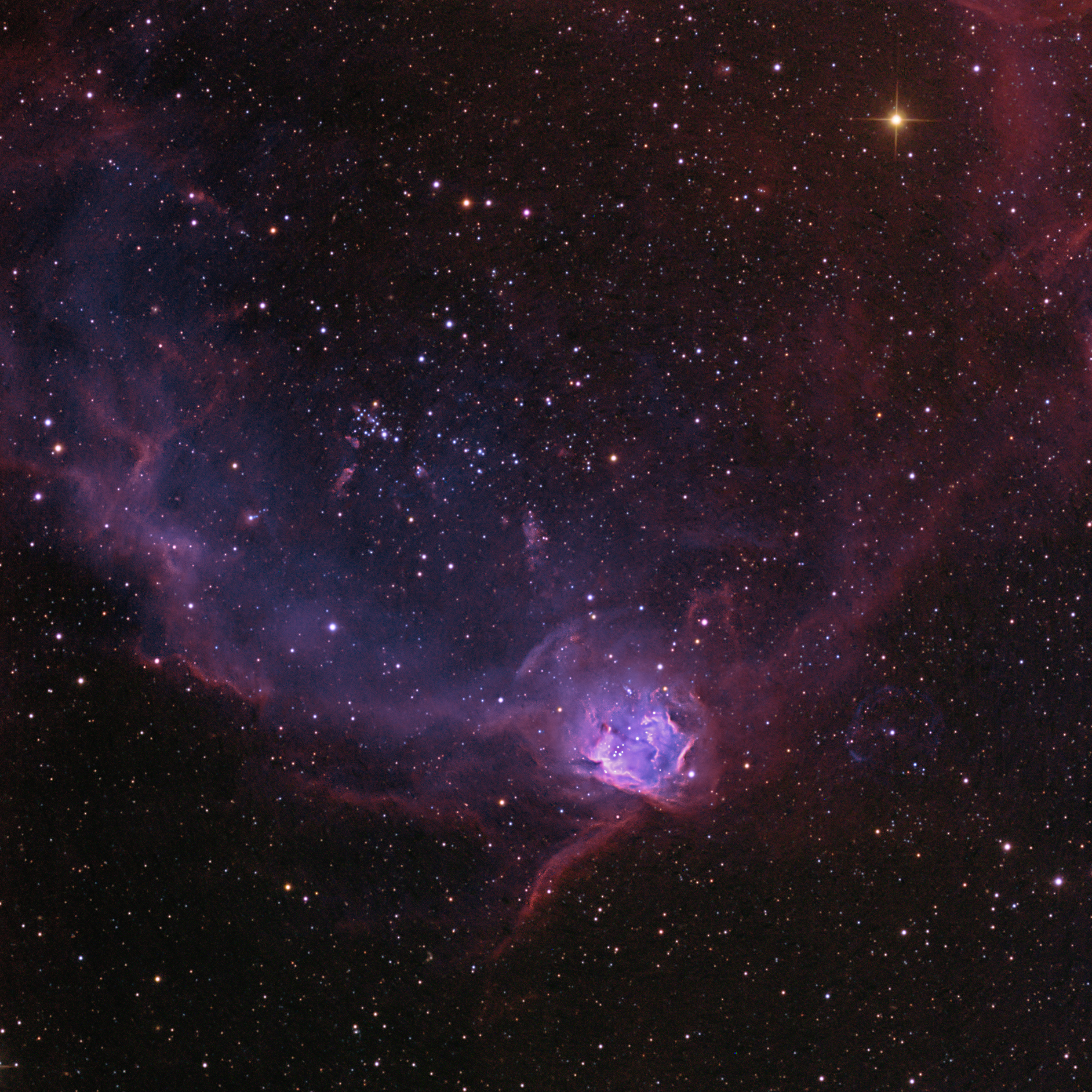 NGC602Web_goldman