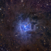 NGC7023Walker