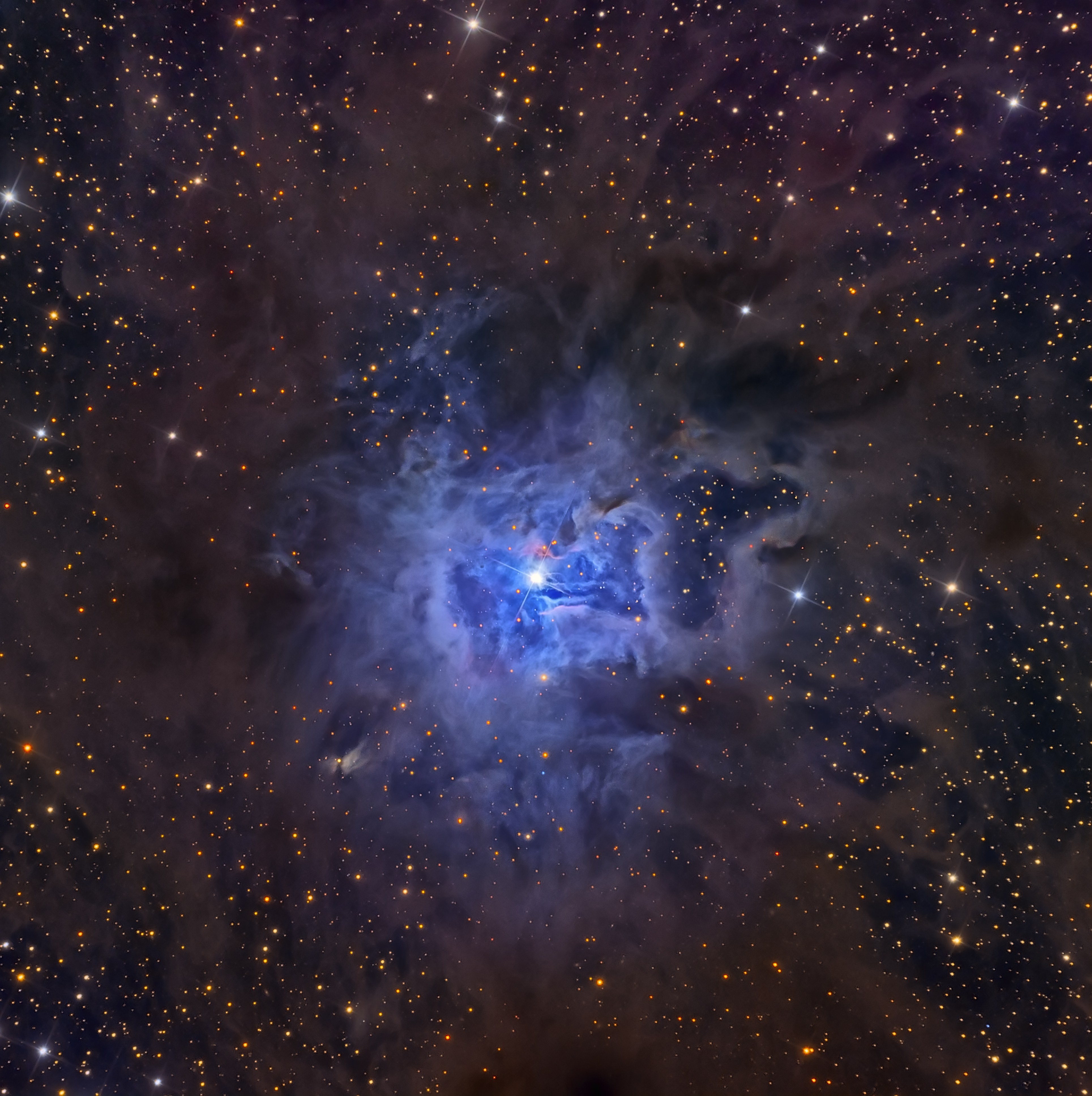 NGC7023Walker