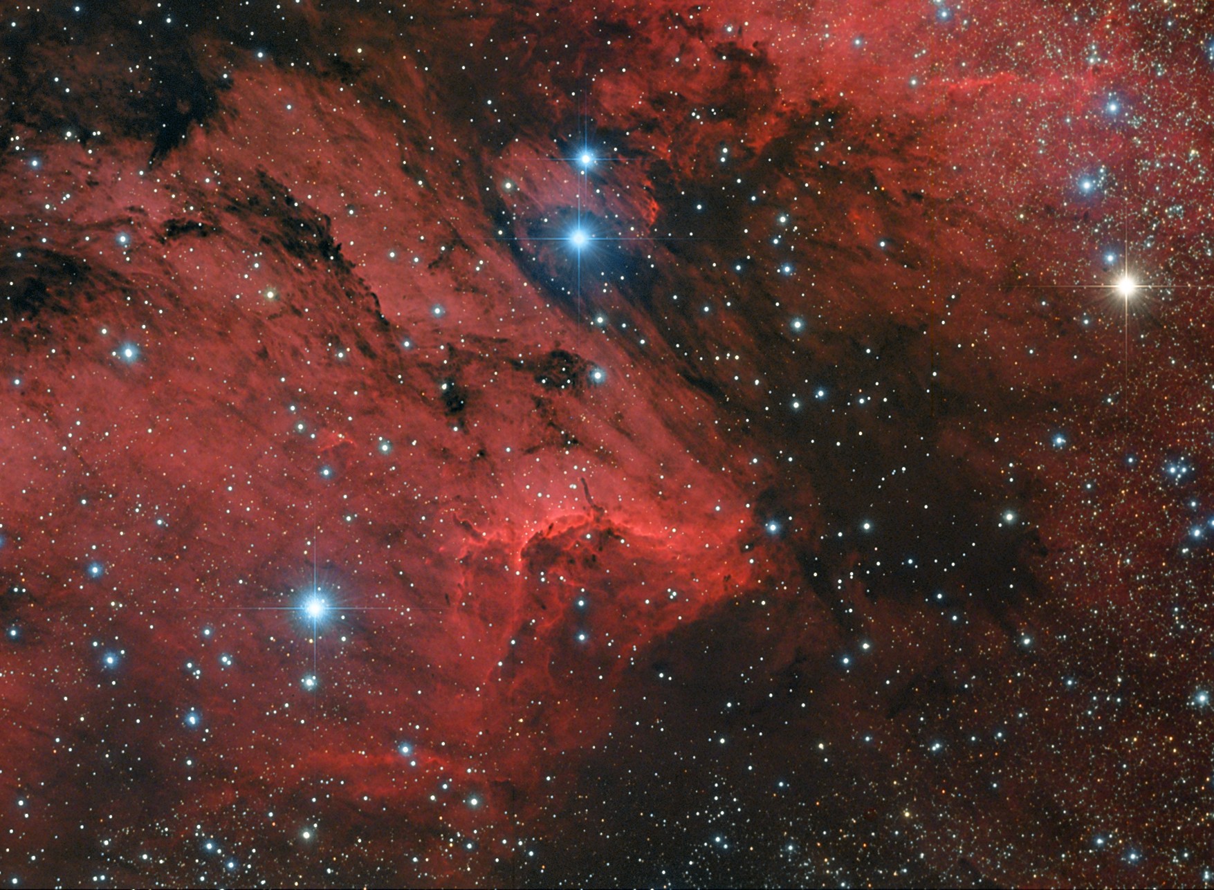 Pelican Nebula (IC5070) crop