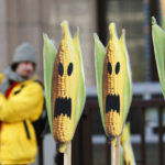 Правда о ГМО