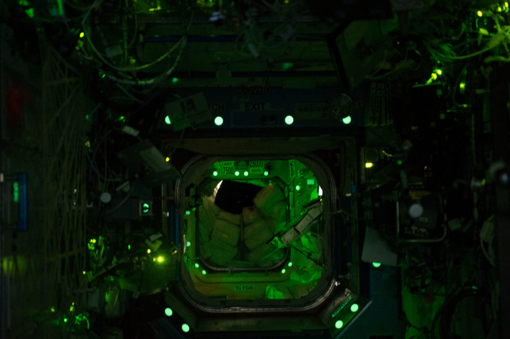 Фото дня - 8 апреля – иллюстрация к материалу на Naked Science