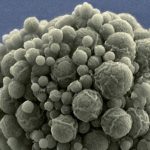 Создан искусственный микроорганизм с минимально возможным числом генов