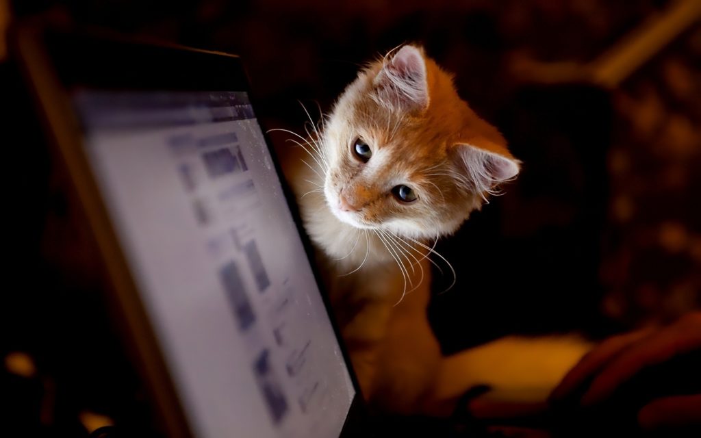 В Facebook и Instagram блокируются ссылки на «ВКонтакте» – иллюстрация к материалу на Naked Science