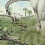 Самый большой динозавр потерял вес после научных исследований