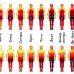 Составлена карта частей тела, к которым можно и нельзя притрагиваться у разных людей