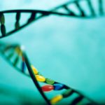 Ученые рассказали, как гены влияют на рост человека