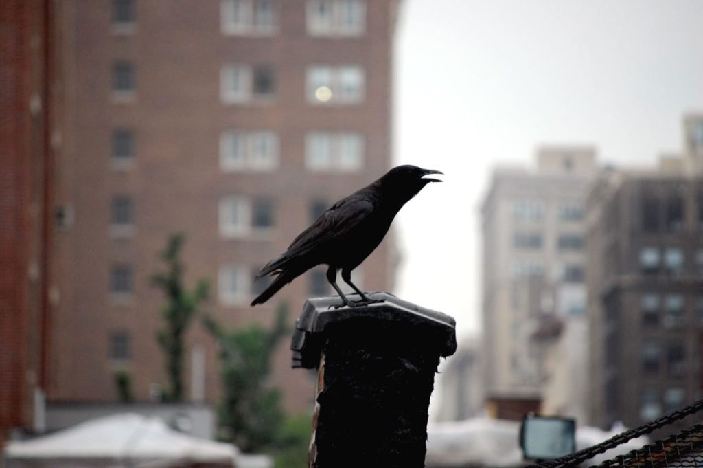 dsc_07301