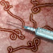 ebola_virus_vaccine