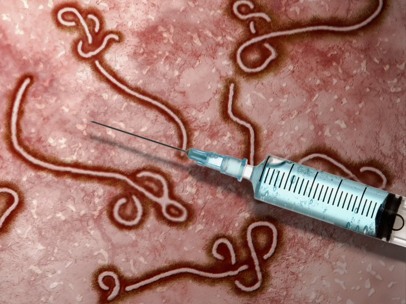 ebola_virus_vaccine