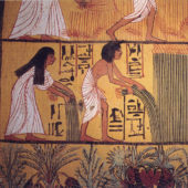 egyptian-harvest
