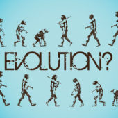 эволюциия
