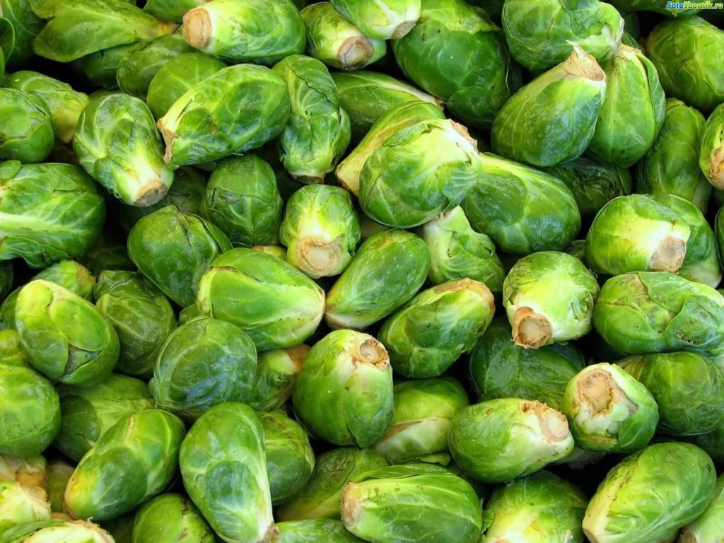 Почему одним пища кажется вкусной, а другим нет? – иллюстрация к материалу на Naked Science