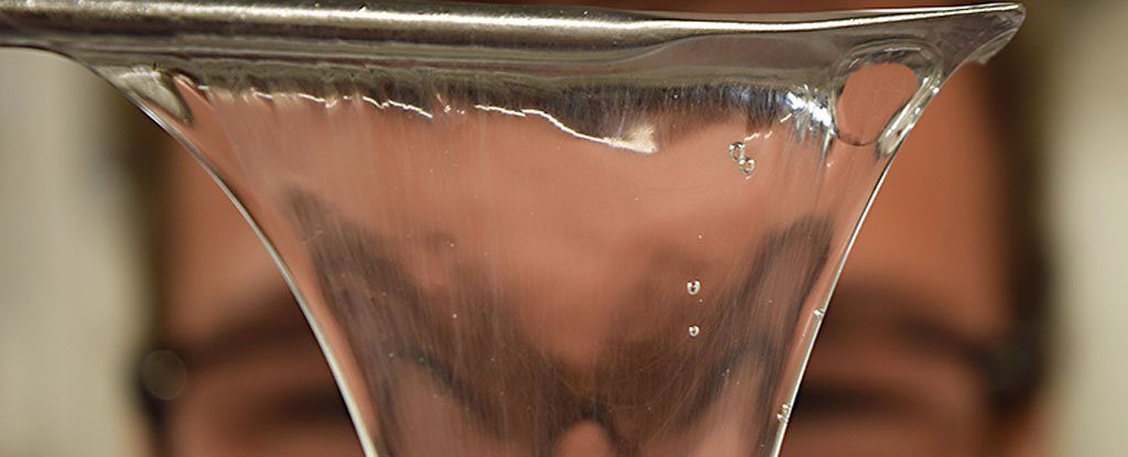 hagfish_1024