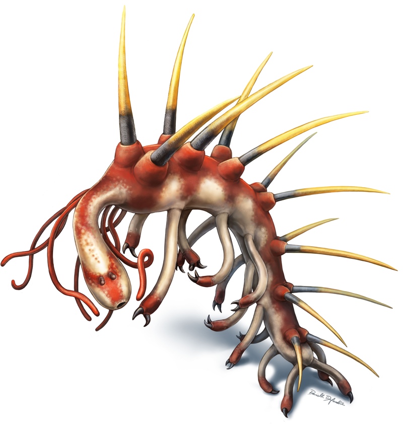 hallucigenia-worm-illustration-white