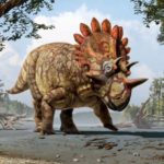 Палеонтологи рассказали о динозавре-Хэллбое