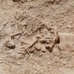 В Великобритании найдены останки «мифических животных»