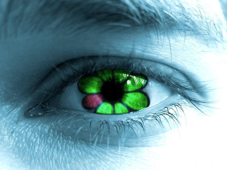 icq download redirectis to mail.ru icq download redirectis to mail.ru