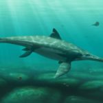 Открыт новый вид ихтиозавра – древнего морского монстра