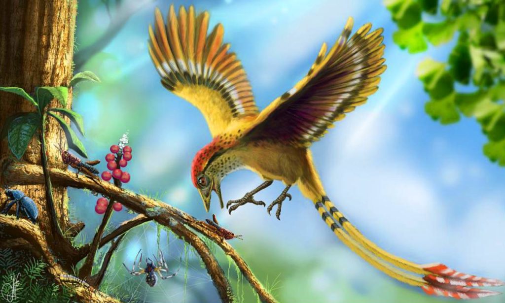 image_2874_1e-Cretaceous-Bird