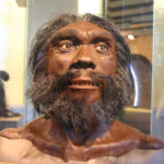 Расшифрована древнейшая ДНК человека