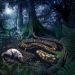 Гены роста конечностей у змей контролируют развитие пениса