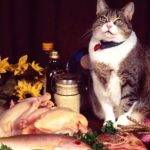 Ученые выяснили, почему кошки так привередливы в еде