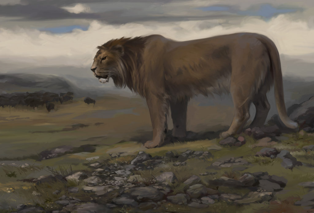leo