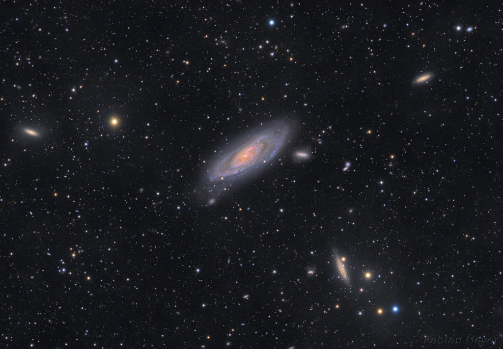 m106_neyer