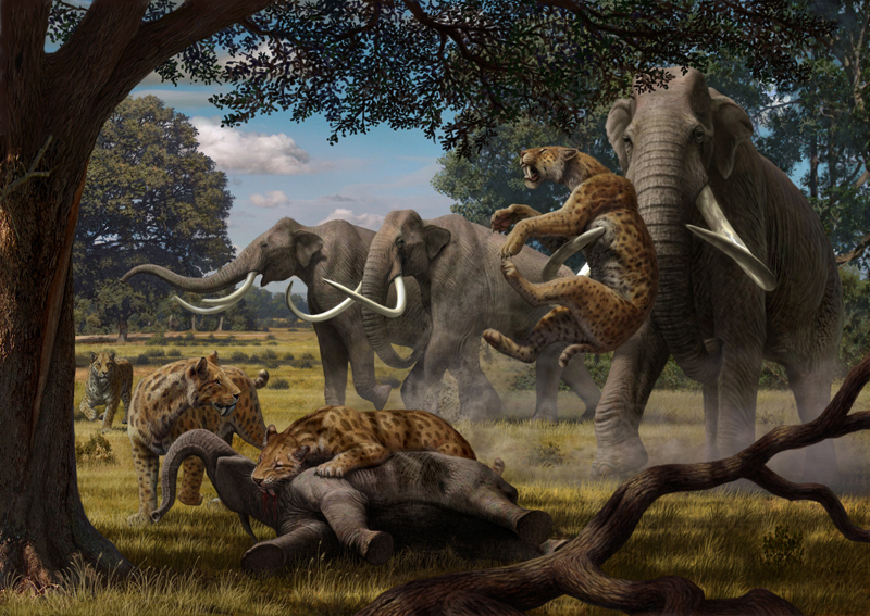 mauricio-anton-smilodon-and-columbian-mammoth