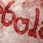 Испытания лекарств против Эболы останавливаются из-за нехватки больных