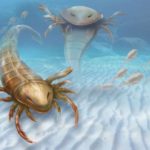 Найдены останки древнейшего в мире морского скорпиона