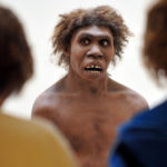 Ученые: неандертальцы не были подвидом современного человека