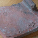 Обнаружен отпечаток кошачьей лапы эпохи Древнего Рима