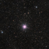 pink-nova-centauri-2013