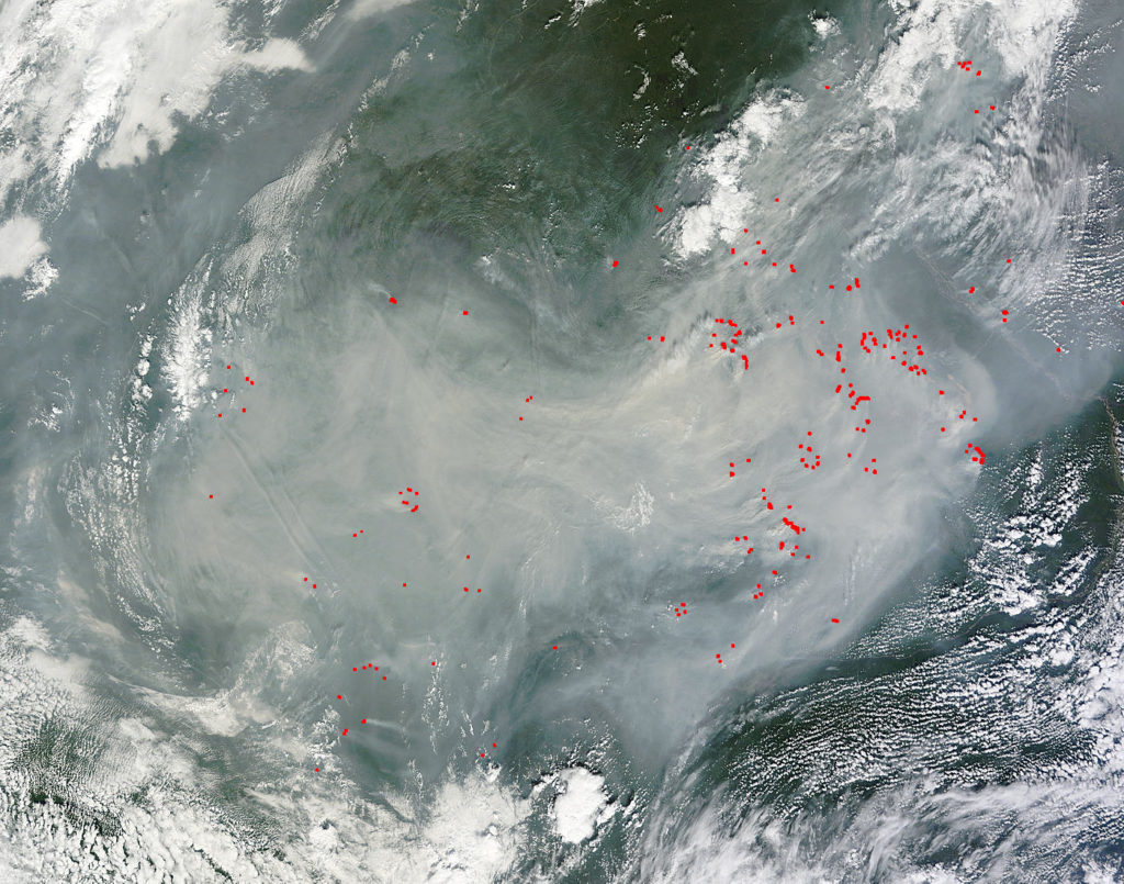 Аппарат NASA сделал фото крупномасштабных пожаров на востоке России – иллюстрация к материалу на Naked Science