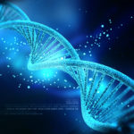 Природные вычисления: можно ли ДНК считать компьютером?
