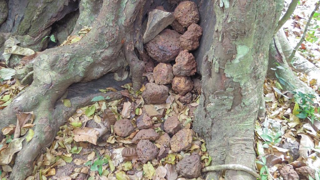 sn-chimpstones