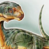 sn-theropod