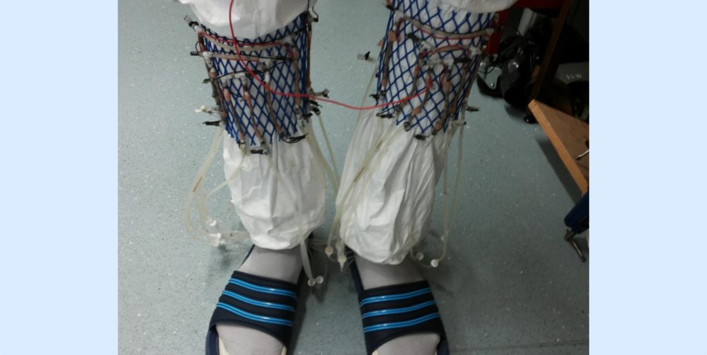 sockz
