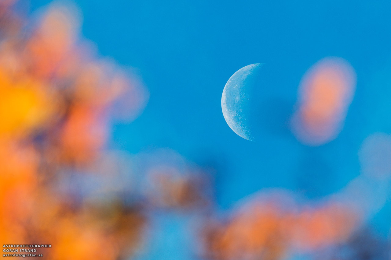 sweden-autumn-moon-strand