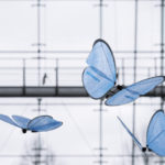 Видео: роботы-бабочки ведут себя как настоящие насекомые