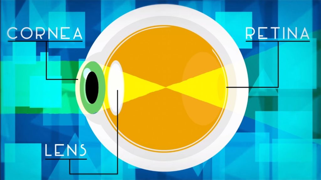 Как очки помогают нам видеть – иллюстрация к материалу на Naked Science