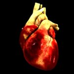Обнаружена связь между увеличением размеров клеток сердца и раком